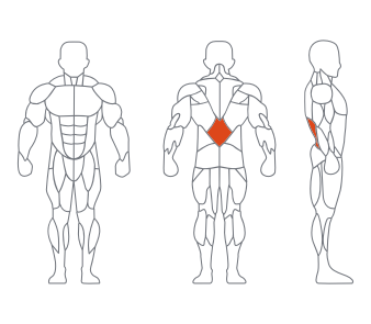 LD1031腰部后压训练器 副本 LD1031腰部后压训练器 副本