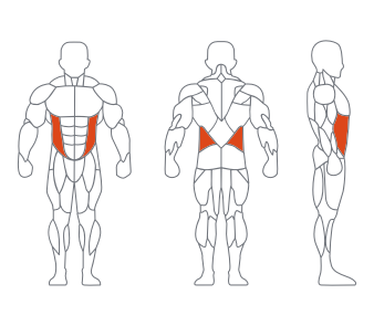 GL-7050跪式转体训练器（绽花夏）