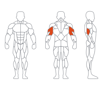 GL-7045三头肌 GL-7045三头肌